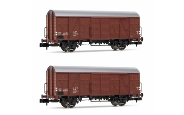 HN6521 Arnold 2-teiliges Set Gedeckte Güterwagen der DR